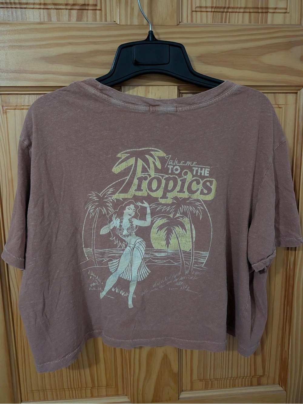 Billabong x The Salty Blonde Take Me to the Tropics Graphic Crop Tee Large